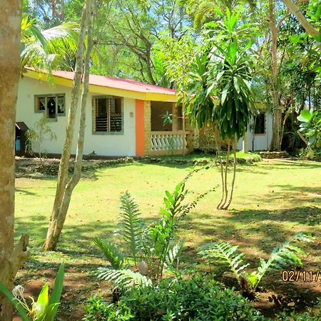 Alonaland Resort Panglao Exterior foto