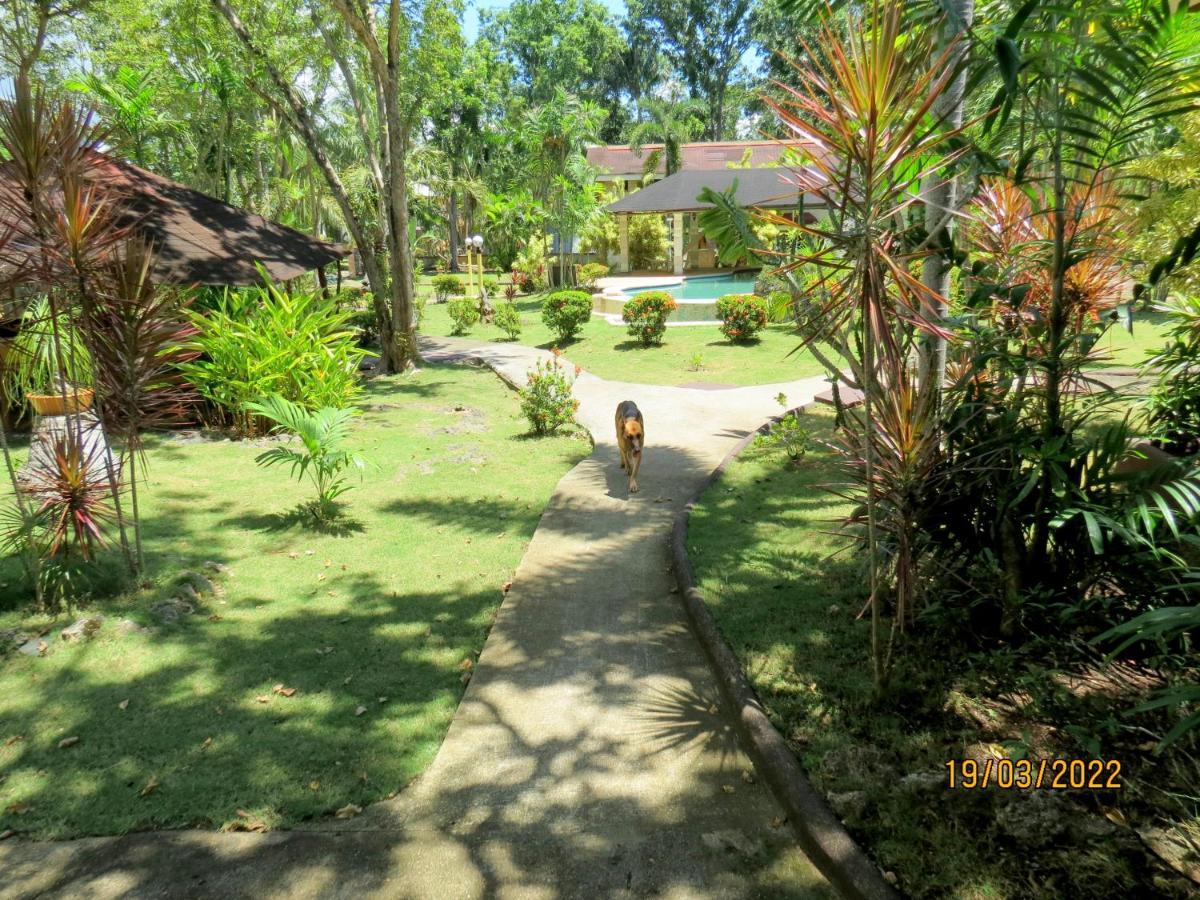 Alonaland Resort Panglao Exterior foto