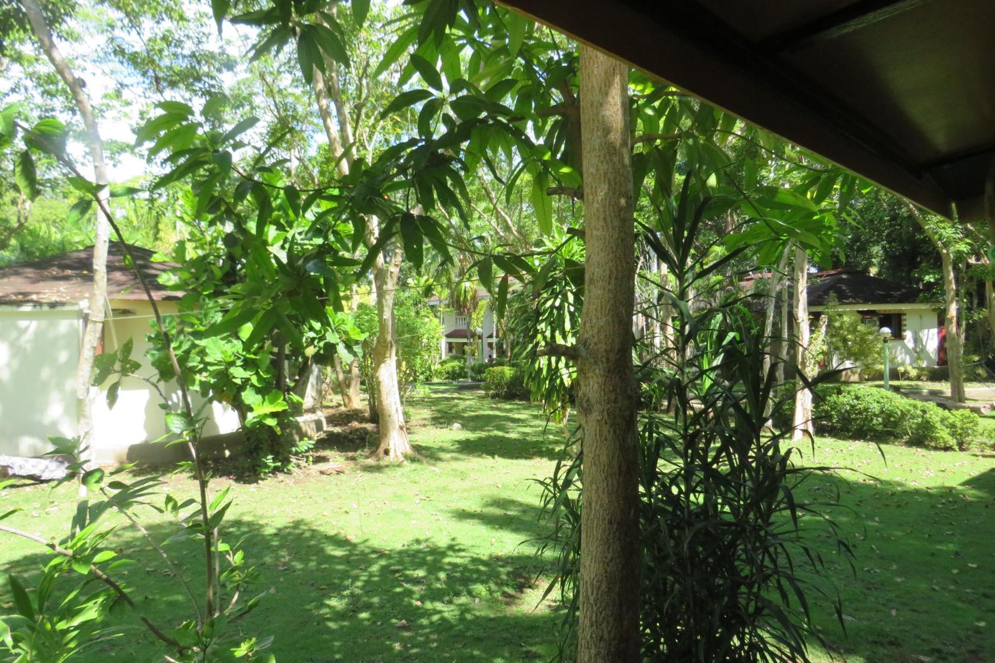 Alonaland Resort Panglao Exterior foto