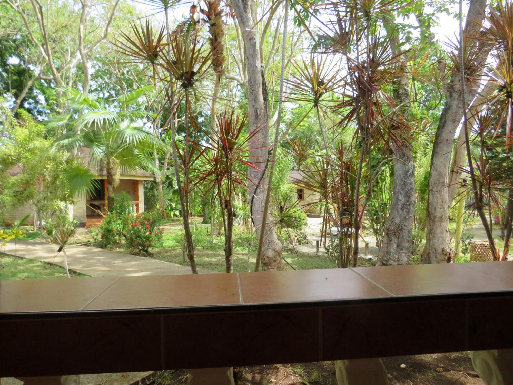 Alonaland Resort Panglao Exterior foto